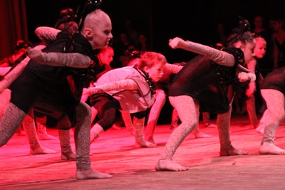 IMG_6768.JPG