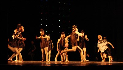 IMG_6971.JPG
