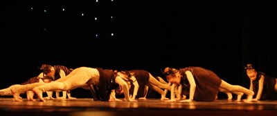 IMG_7006.JPG