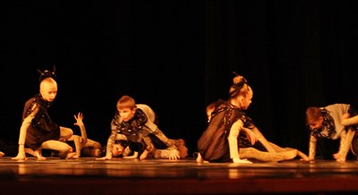 IMG_7010.JPG